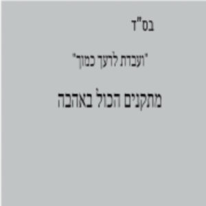 אביב הנדימן